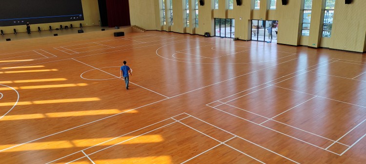 IMG_20231212_142947 IMG_20231212_142947